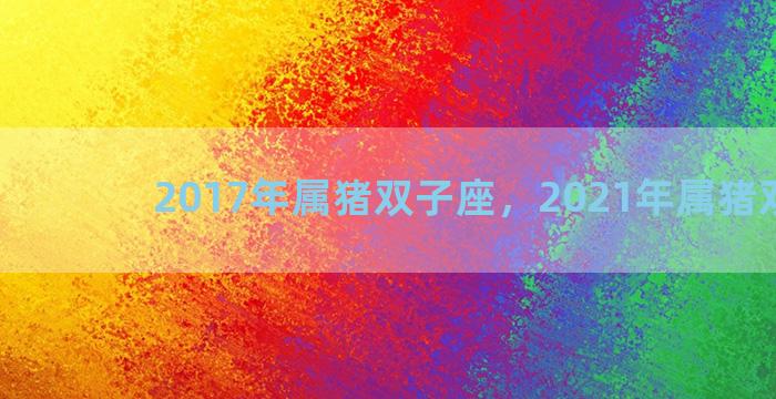 2017年属猪双子座，2021年属猪双子座