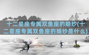 十二星座专属双鱼座的婚纱(十二星座专属双鱼座的婚纱是什么)