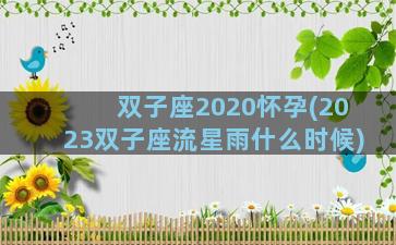 双子座2020怀孕(2023双子座流星雨什么时候)