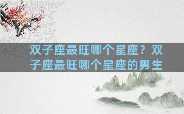 双子座最旺哪个星座？双子座最旺哪个星座的男生
