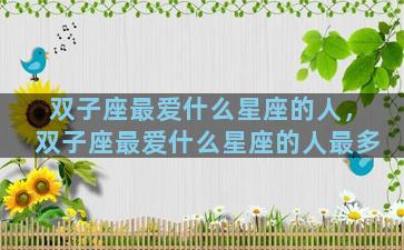 双子座最爱什么星座的人，双子座最爱什么星座的人最多