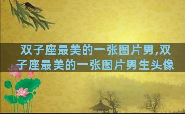 双子座最美的一张图片男,双子座最美的一张图片男生头像