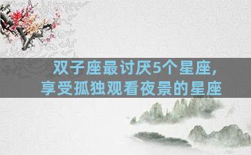 双子座最讨厌5个星座,享受孤独观看夜景的星座