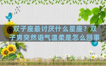 双子座最讨厌什么星座？双子男突然语气温柔是怎么回事