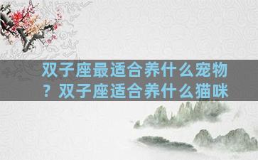 双子座最适合养什么宠物？双子座适合养什么猫咪