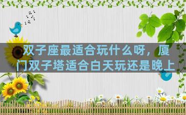 双子座最适合玩什么呀，厦门双子塔适合白天玩还是晚上