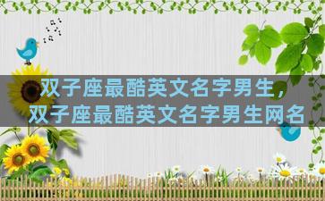 双子座最酷英文名字男生，双子座最酷英文名字男生网名