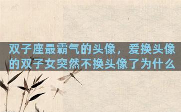 双子座最霸气的头像，爱换头像的双子女突然不换头像了为什么