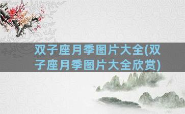 双子座月季图片大全(双子座月季图片大全欣赏)