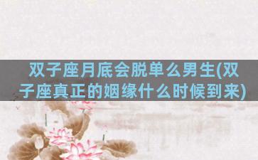 双子座月底会脱单么男生(双子座真正的姻缘什么时候到来)