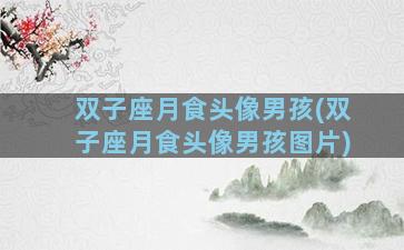 双子座月食头像男孩(双子座月食头像男孩图片)