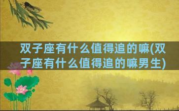 双子座有什么值得追的嘛(双子座有什么值得追的嘛男生)