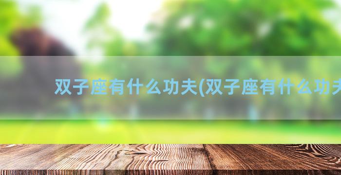 双子座有什么功夫(双子座有什么功夫嘛)