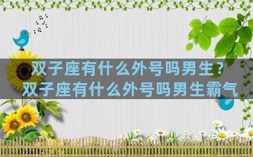双子座有什么外号吗男生？双子座有什么外号吗男生霸气