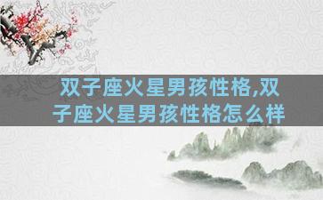 双子座火星男孩性格,双子座火星男孩性格怎么样