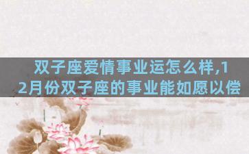 双子座爱情事业运怎么样,12月份双子座的事业能如愿以偿
