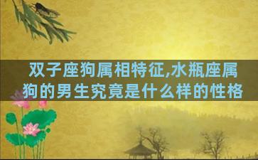 双子座狗属相特征,水瓶座属狗的男生究竟是什么样的性格