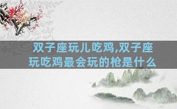 双子座玩儿吃鸡,双子座玩吃鸡最会玩的枪是什么