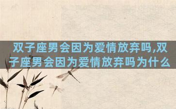 双子座男会因为爱情放弃吗,双子座男会因为爱情放弃吗为什么