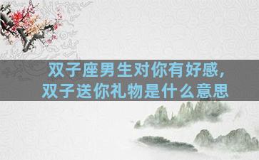 双子座男生对你有好感,双子送你礼物是什么意思