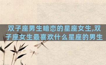 双子座男生暗恋的星座女生,双子座女生最喜欢什么星座的男生