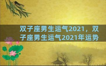 双子座男生运气2021，双子座男生运气2021年运势