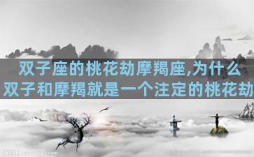 双子座的桃花劫摩羯座,为什么双子和摩羯就是一个注定的桃花劫