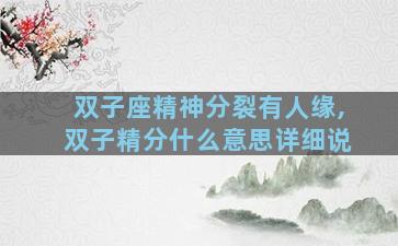 双子座精神分裂有人缘,双子精分什么意思详细说