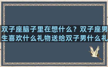 双子座脑子里在想什么？双子座男生喜欢什么礼物送给双子男什么礼物比较好