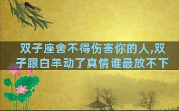 双子座舍不得伤害你的人,双子跟白羊动了真情谁最放不下