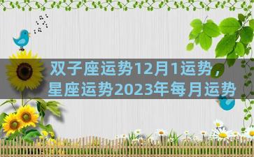 双子座运势12月1运势，星座运势2023年每月运势