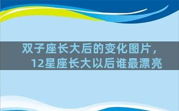 双子座长大后的变化图片，12星座长大以后谁最漂亮