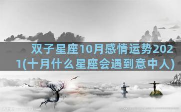 双子星座10月感情运势2021(十月什么星座会遇到意中人)