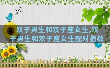 双子男生和双子座女生,双子男生和双子座女生配对指数