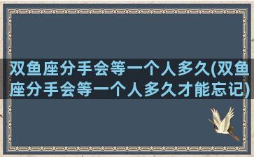 双鱼座分手会等一个人多久(双鱼座分手会等一个人多久才能忘记)