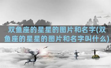 双鱼座的星星的图片和名字(双鱼座的星星的图片和名字叫什么)