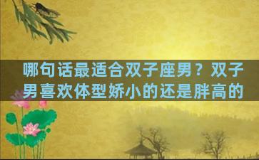 哪句话最适合双子座男？双子男喜欢体型娇小的还是胖高的