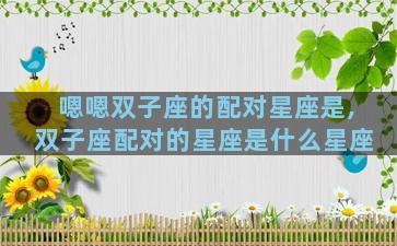 嗯嗯双子座的配对星座是,双子座配对的星座是什么星座