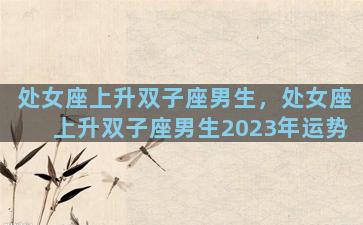 处女座上升双子座男生，处女座上升双子座男生2023年运势