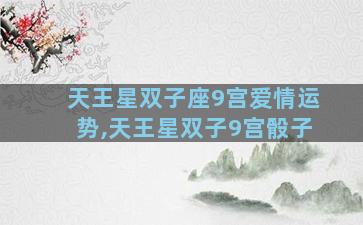 天王星双子座9宫爱情运势,天王星双子9宫骰子