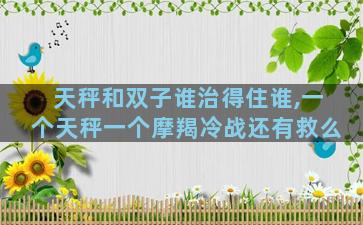 天秤和双子谁治得住谁,一个天秤一个摩羯冷战还有救么