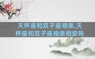 天秤座和双子座相亲,天秤座和双子座相亲相爱吗