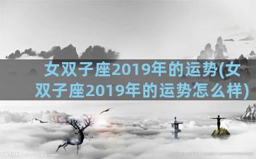 女双子座2019年的运势(女双子座2019年的运势怎么样)