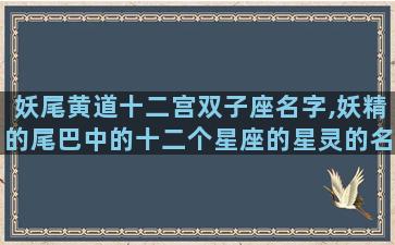 妖尾黄道十二宫双子座名字,妖精的尾巴中的十二个星座的星灵的名字及能力