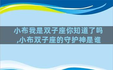 小布我是双子座你知道了吗,小布双子座的守护神是谁