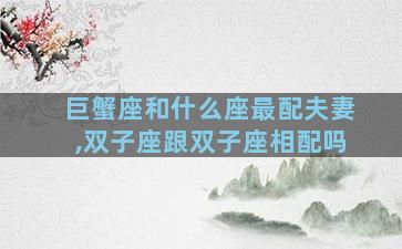 巨蟹座和什么座最配夫妻,双子座跟双子座相配吗