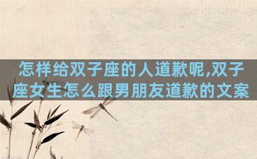 怎样给双子座的人道歉呢,双子座女生怎么跟男朋友道歉的文案