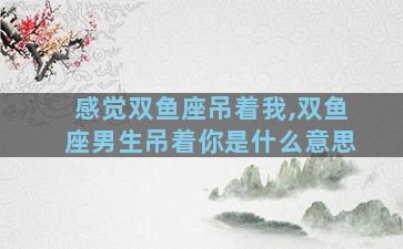 感觉双鱼座吊着我,双鱼座男生吊着你是什么意思