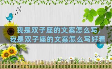我是双子座的文案怎么写,我是双子座的文案怎么写好看