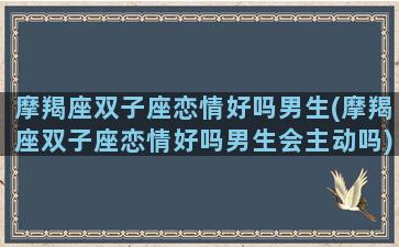 摩羯座双子座恋情好吗男生(摩羯座双子座恋情好吗男生会主动吗)